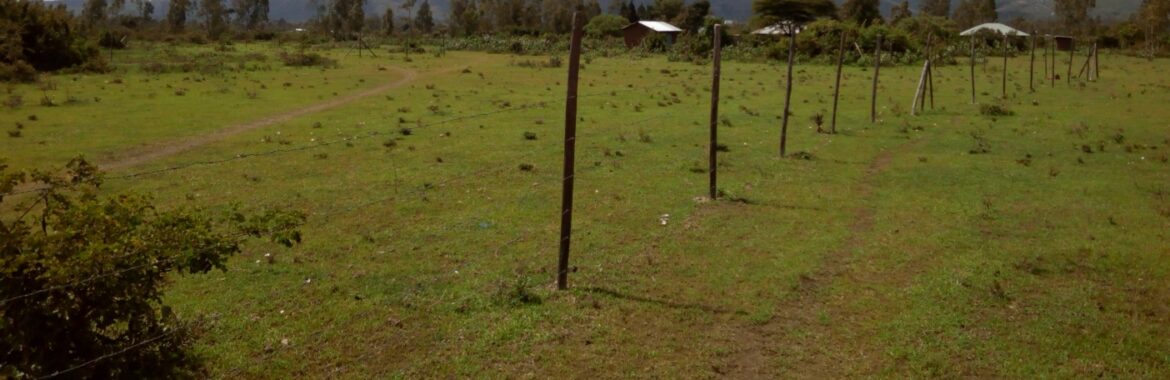 11 Things You Need to Know about Buying Land